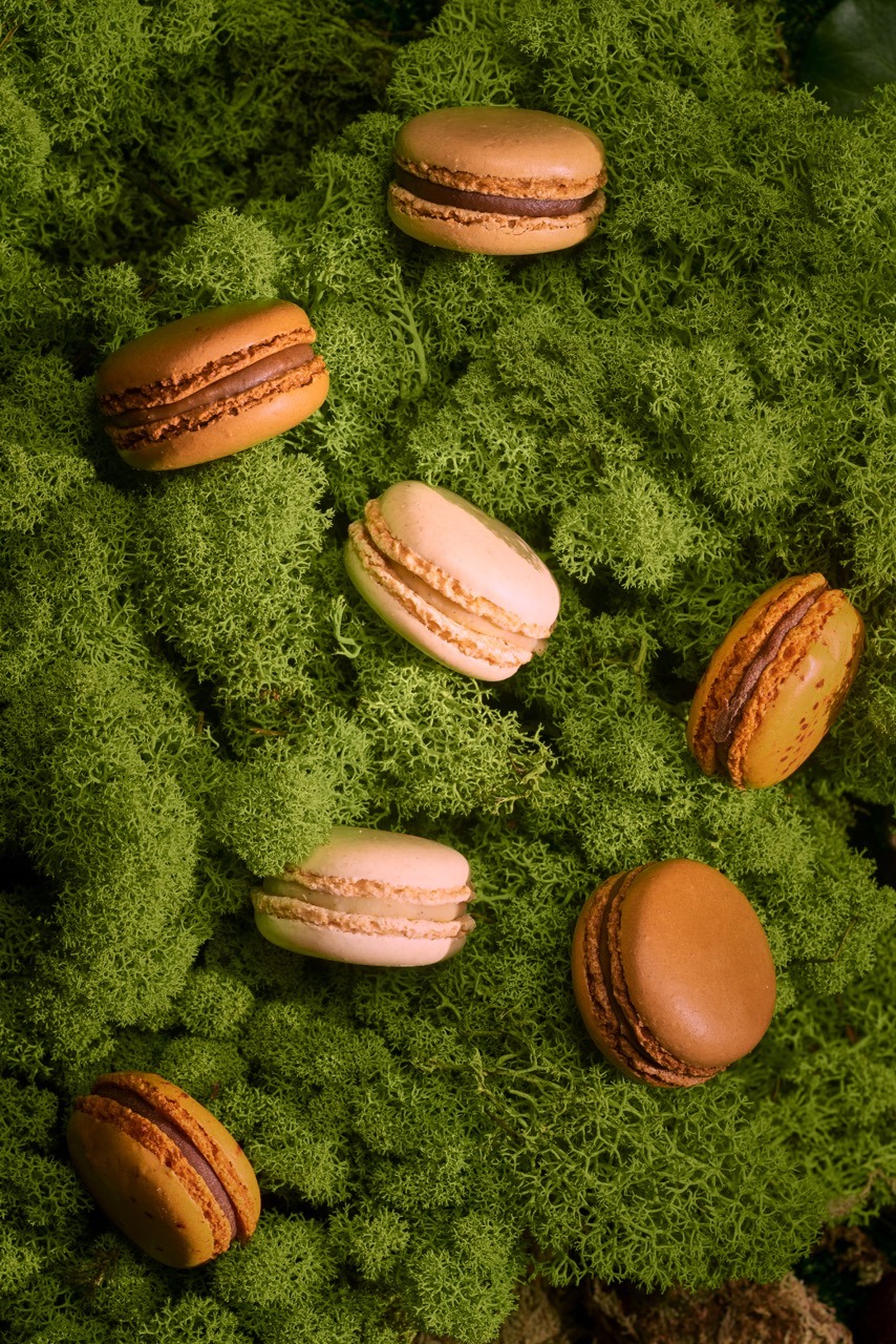 shoot-fauchon-fevrier3710 Grande